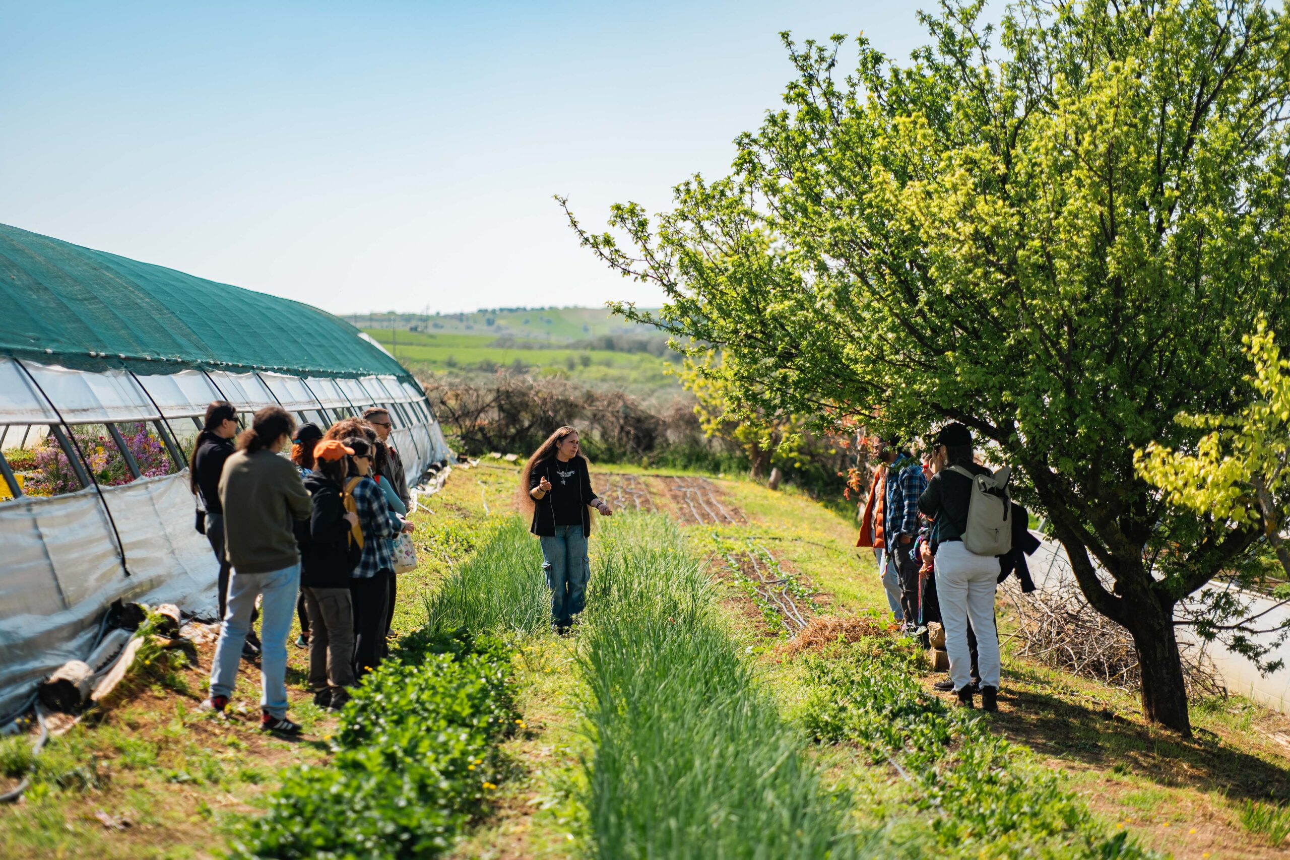A group of citizens on a guided tour of a vineyard.