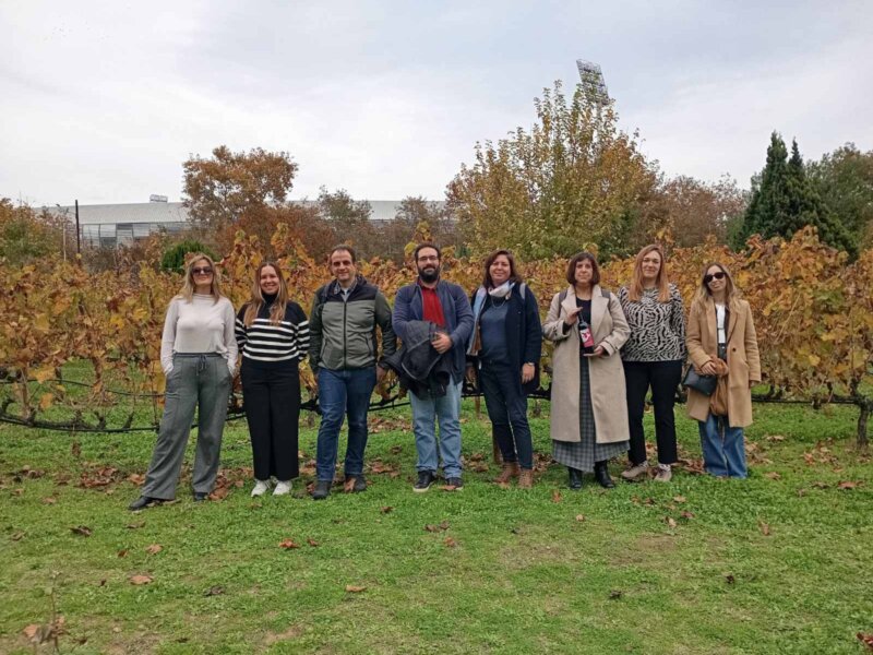 Group of visitors touring a municipal vineyard